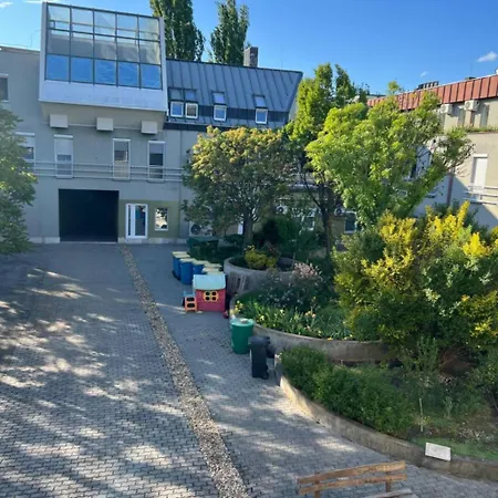 Viva * Mestecǎneşti